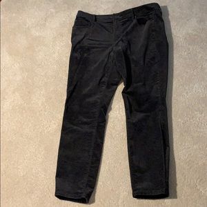 Ann Taylor soft corduroy pants